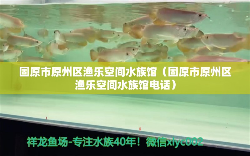 固原市原州區(qū)漁樂空間水族館（固原市原州區(qū)漁樂空間水族館電話） 全國水族館企業(yè)名錄