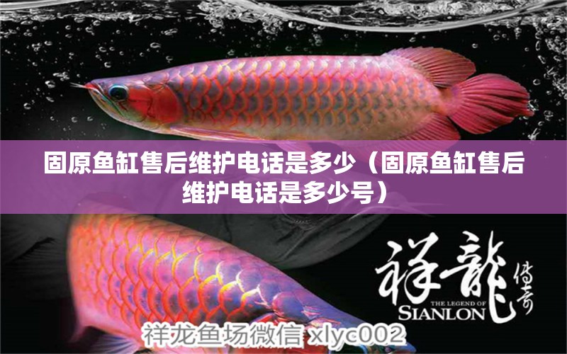 固原魚缸售后維護(hù)電話是多少（固原魚缸售后維護(hù)電話是多少號） 其他品牌魚缸