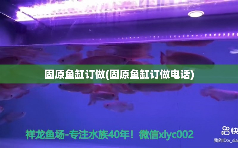 固原魚缸訂做(固原魚缸訂做電話) 肥料