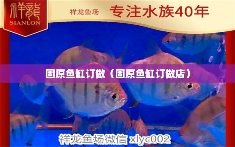 固原魚缸訂做（固原魚缸訂做店）