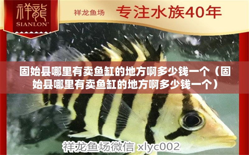 固始縣哪里有賣魚缸的地方啊多少錢一個(gè)（固始縣哪里有賣魚缸的地方啊多少錢一個(gè)） 除藻劑