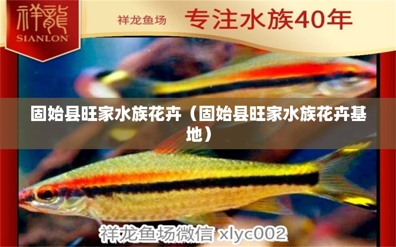 固始縣旺家水族花卉（固始縣旺家水族花卉基地） 全國水族館企業(yè)名錄