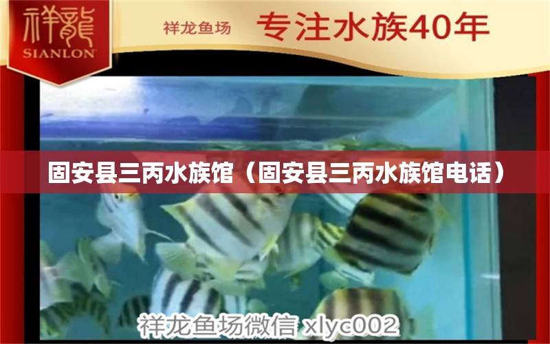 固安縣三丙水族館（固安縣三丙水族館電話） 全國(guó)水族館企業(yè)名錄