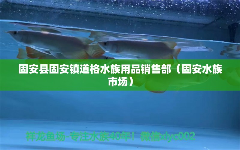 固安縣固安鎮(zhèn)道格水族用品銷售部（固安水族市場） 水族用品