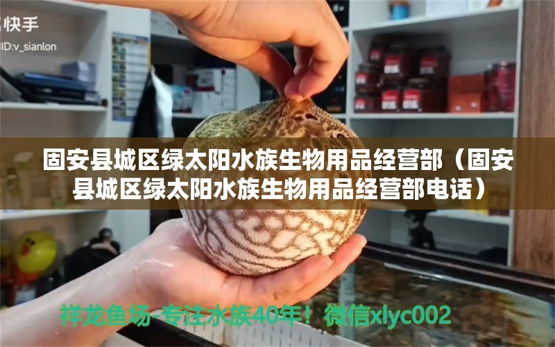 固安縣城區(qū)綠太陽(yáng)水族生物用品經(jīng)營(yíng)部（固安縣城區(qū)綠太陽(yáng)水族生物用品經(jīng)營(yíng)部電話）