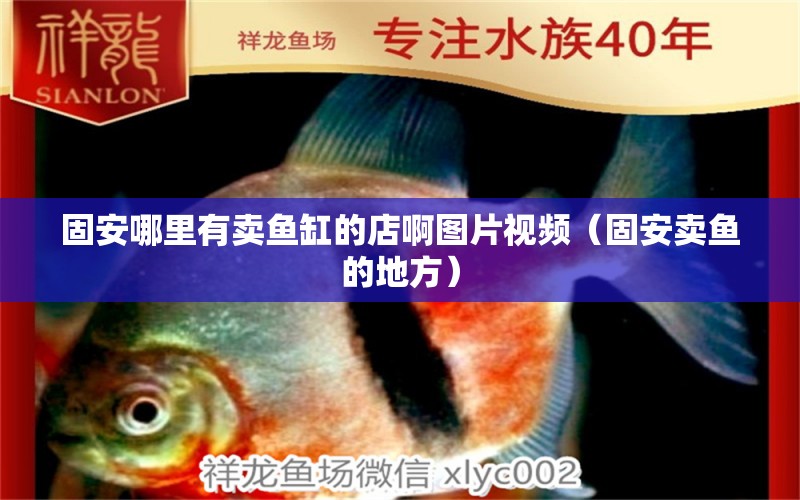 固安哪里有賣(mài)魚(yú)缸的店啊圖片視頻（固安賣(mài)魚(yú)的地方） 廣州觀賞魚(yú)批發(fā)市場(chǎng)