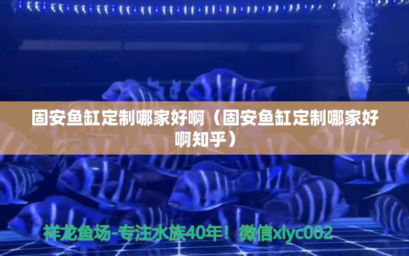 固安魚缸定制哪家好?。ü贪掺~缸定制哪家好啊知乎） 古典過背金龍魚