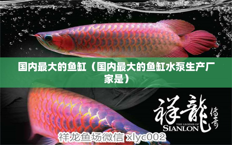 國內(nèi)最大的魚缸（國內(nèi)最大的魚缸水泵生產(chǎn)廠家是）