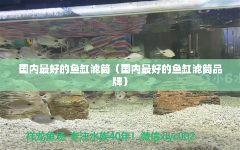 國內(nèi)最好的魚缸濾筒（國內(nèi)最好的魚缸濾筒品牌）