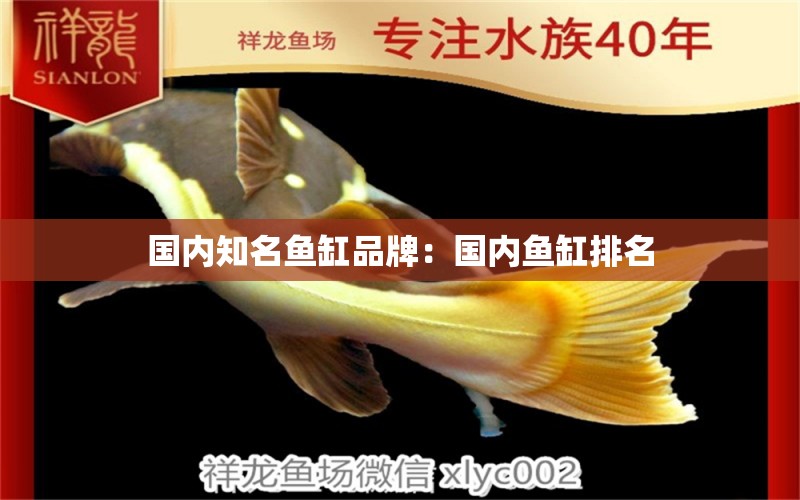 國內(nèi)知名魚缸品牌：國內(nèi)魚缸排名 水族維護服務（上門）