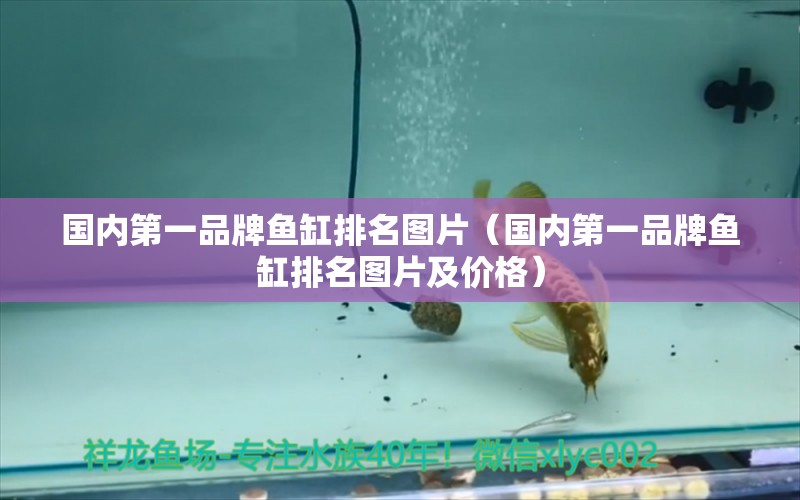 國內(nèi)第一品牌魚缸排名圖片（國內(nèi)第一品牌魚缸排名圖片及價(jià)格）