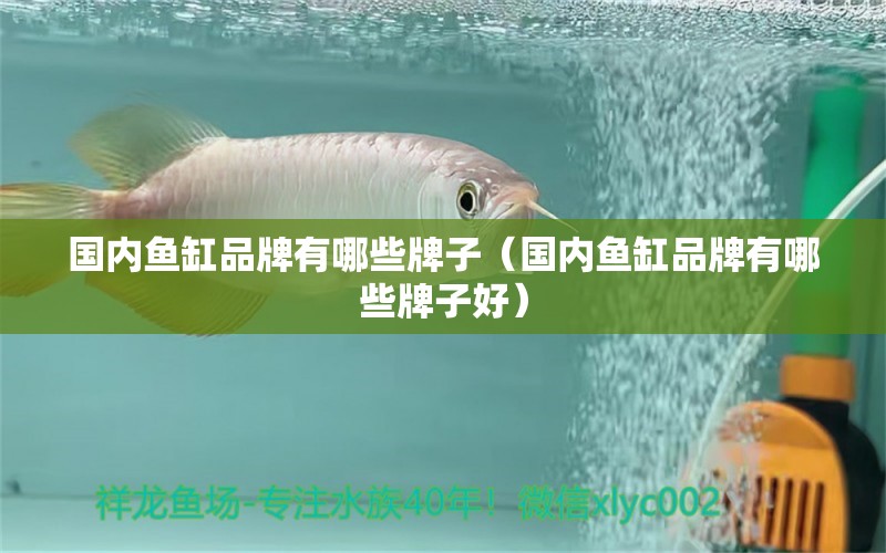 國內魚缸品牌有哪些牌子（國內魚缸品牌有哪些牌子好）