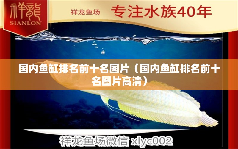 國內(nèi)魚缸排名前十名圖片（國內(nèi)魚缸排名前十名圖片高清） 其他品牌魚缸