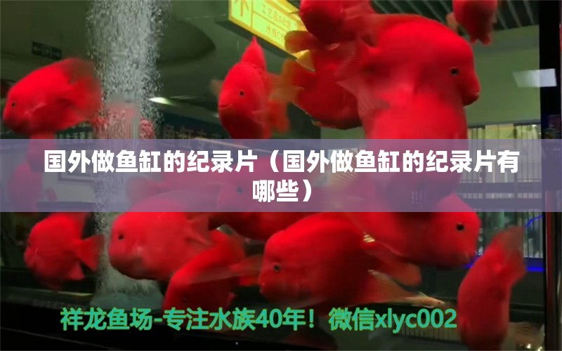 國(guó)外做魚缸的紀(jì)錄片（國(guó)外做魚缸的紀(jì)錄片有哪些）