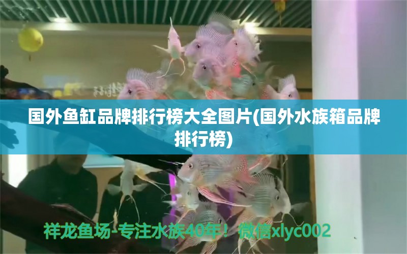 國外魚缸品牌排行榜大全圖片(國外水族箱品牌排行榜) 魚缸/水族箱