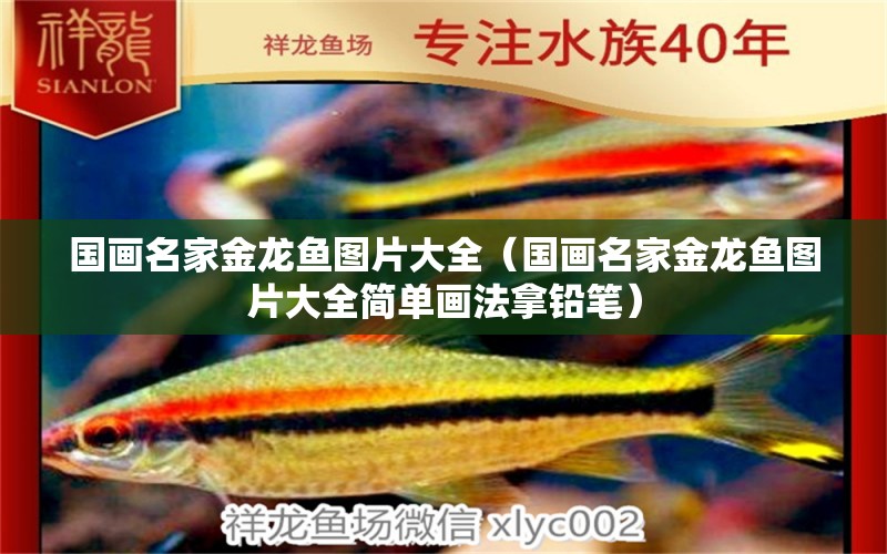 國畫名家金龍魚圖片大全（國畫名家金龍魚圖片大全簡單畫法拿鉛筆）