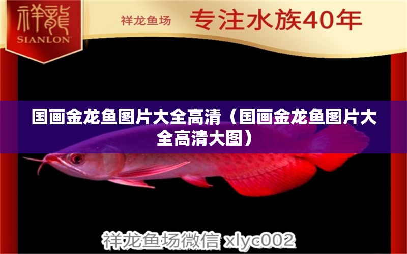 國畫金龍魚圖片大全高清（國畫金龍魚圖片大全高清大圖） 祥龍水族醫(yī)院