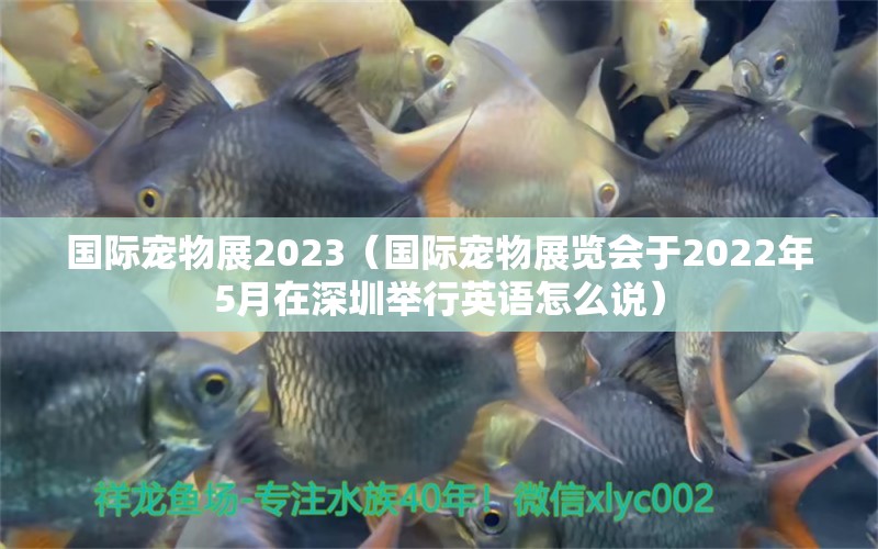 國際寵物展2023（國際寵物展覽會于2022年5月在深圳舉行英語怎么說）