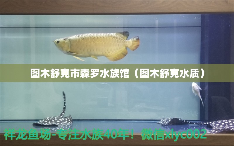 圖木舒克市森羅水族館（圖木舒克水質(zhì)）