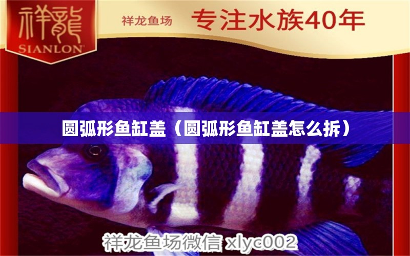 圓弧形魚缸蓋（圓弧形魚缸蓋怎么拆） 祥龍水族醫(yī)院