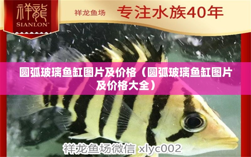 圓弧玻璃魚缸圖片及價格（圓弧玻璃魚缸圖片及價格大全） 祥龍水族醫(yī)院