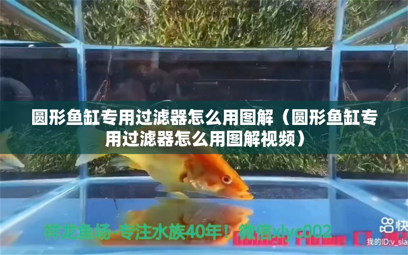 圓形魚缸專用過濾器怎么用圖解（圓形魚缸專用過濾器怎么用圖解視頻）