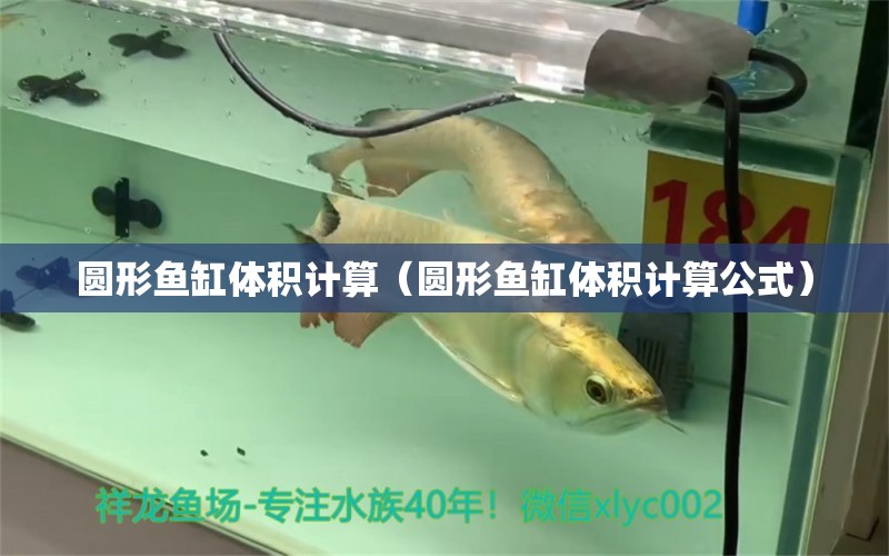 圓形魚缸體積計(jì)算（圓形魚缸體積計(jì)算公式）