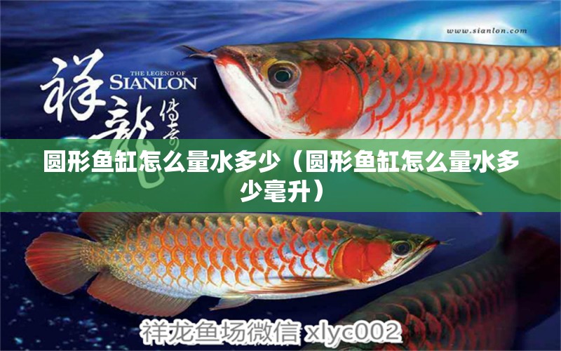 圓形魚缸怎么量水多少（圓形魚缸怎么量水多少毫升） 祥龍水族醫(yī)院