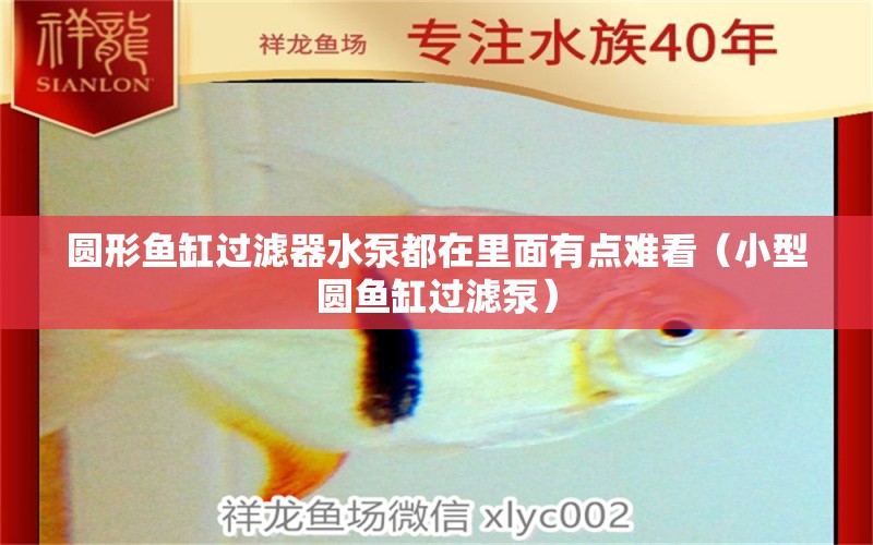 圓形魚缸過濾器水泵都在里面有點難看（小型圓魚缸過濾泵）