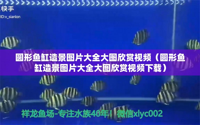 圓形魚(yú)缸造景圖片大全大圖欣賞視頻（圓形魚(yú)缸造景圖片大全大圖欣賞視頻下載） 祥龍水族護(hù)理水