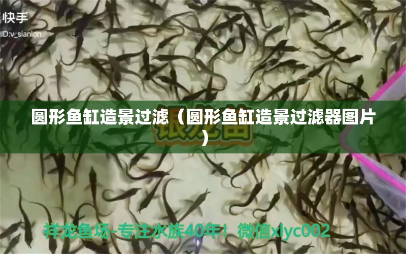 圓形魚缸造景過濾（圓形魚缸造景過濾器圖片）