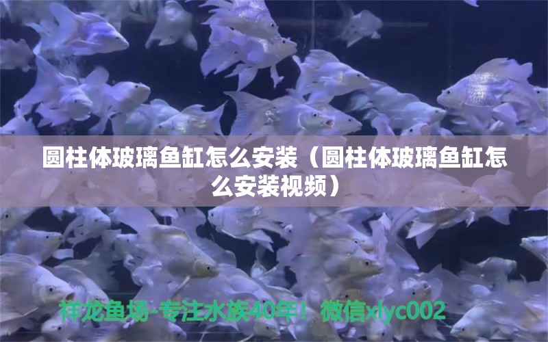 圓柱體玻璃魚缸怎么安裝（圓柱體玻璃魚缸怎么安裝視頻）