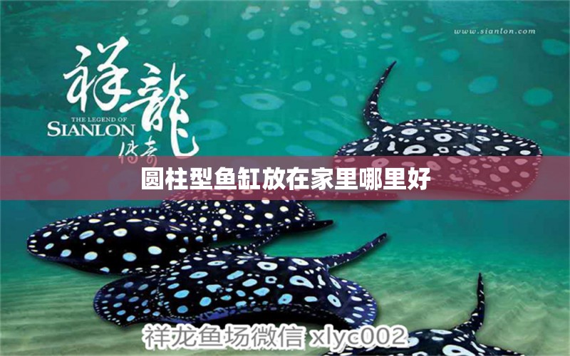 圓柱型魚缸放在家里哪里好