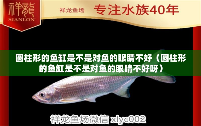 圓柱形的魚缸是不是對(duì)魚的眼睛不好（圓柱形的魚缸是不是對(duì)魚的眼睛不好呀）