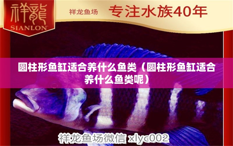 圓柱形魚缸適合養(yǎng)什么魚類（圓柱形魚缸適合養(yǎng)什么魚類呢） 祥龍水族醫(yī)院