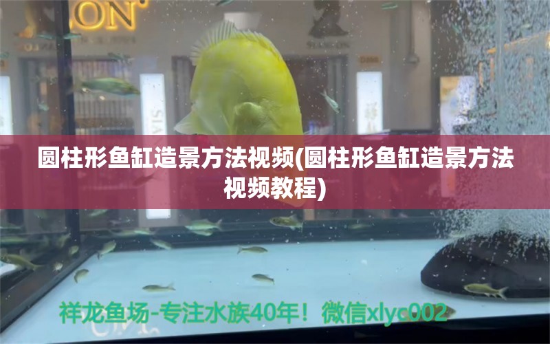 圓柱形魚缸造景方法視頻(圓柱形魚缸造景方法視頻教程) 肥料