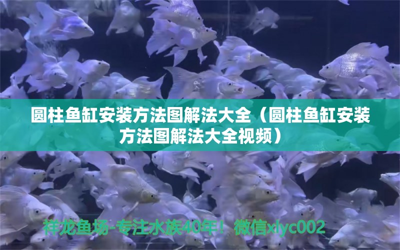 圓柱魚缸安裝方法圖解法大全（圓柱魚缸安裝方法圖解法大全視頻）