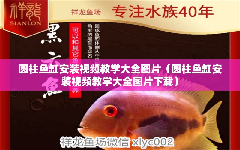 圓柱魚缸安裝視頻教學大全圖片（圓柱魚缸安裝視頻教學大全圖片下載）