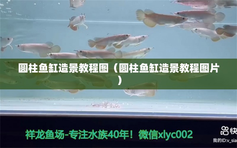 圓柱魚缸造景教程圖（圓柱魚缸造景教程圖片）