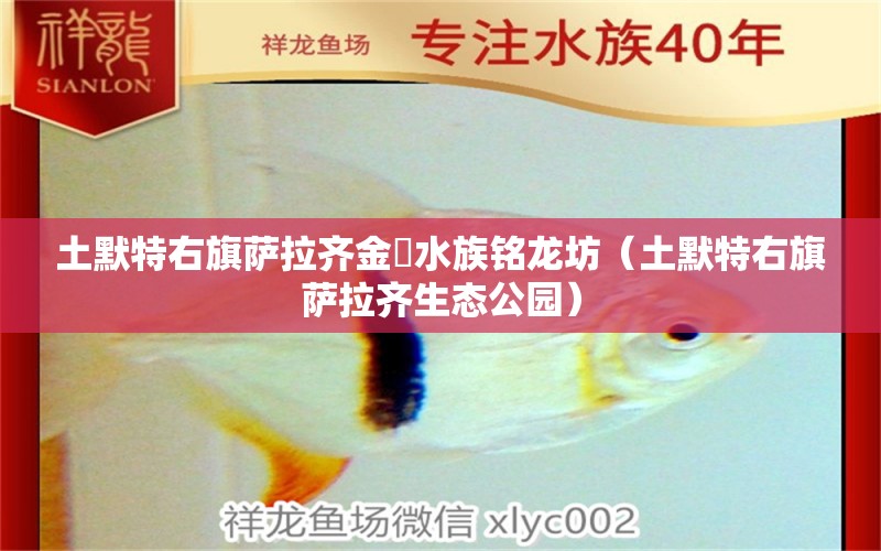 土默特右旗薩拉齊金竜水族銘龍坊（土默特右旗薩拉齊生態(tài)公園）