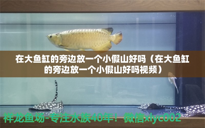 在大魚缸的旁邊放一個(gè)小假山好嗎（在大魚缸的旁邊放一個(gè)小假山好嗎視頻）