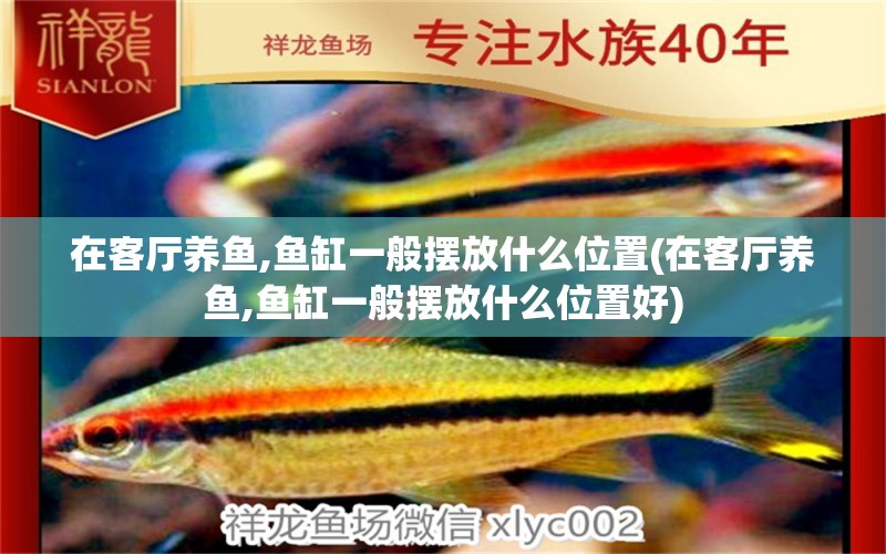 在客廳養(yǎng)魚,魚缸一般擺放什么位置(在客廳養(yǎng)魚,魚缸一般擺放什么位置好) 暹羅巨鯉