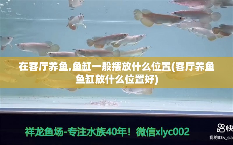 在客廳養(yǎng)魚(yú),魚(yú)缸一般擺放什么位置(客廳養(yǎng)魚(yú)魚(yú)缸放什么位置好)