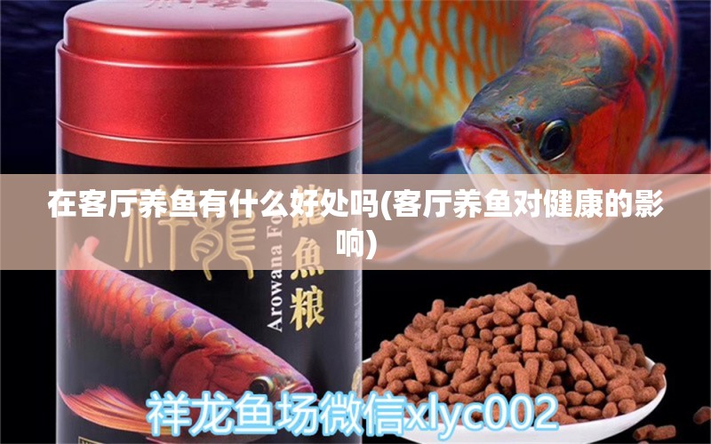 在客廳養(yǎng)魚(yú)有什么好處嗎(客廳養(yǎng)魚(yú)對(duì)健康的影響) 一眉道人魚(yú)