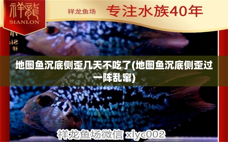 地圖魚(yú)沉底側(cè)歪幾天不吃了(地圖魚(yú)沉底側(cè)歪過(guò)一陣亂竄)