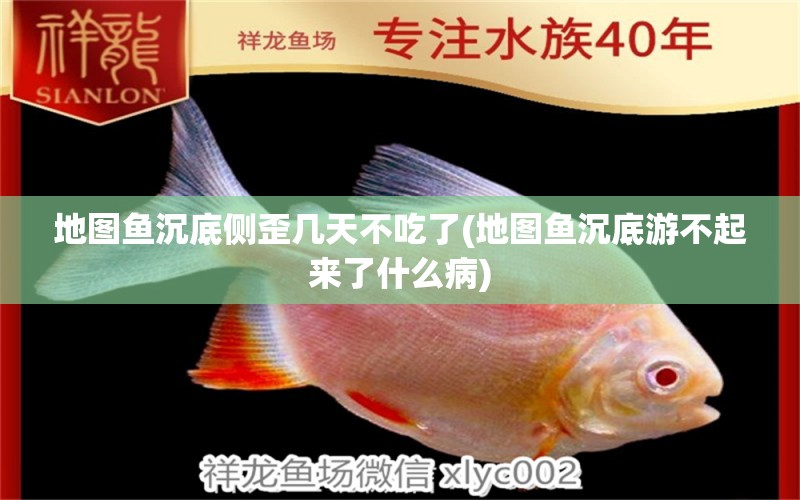 地圖魚(yú)沉底側(cè)歪幾天不吃了(地圖魚(yú)沉底游不起來(lái)了什么病)