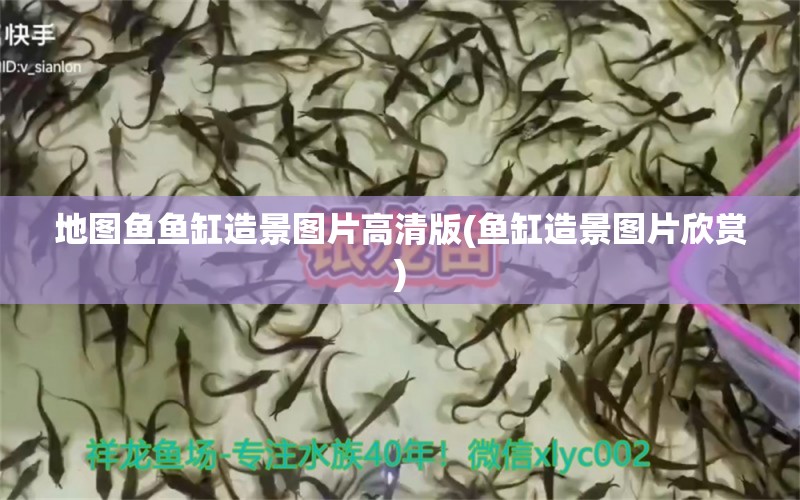 地圖魚(yú)魚(yú)缸造景圖片高清版(魚(yú)缸造景圖片欣賞) 撒旦鴨嘴魚(yú) 第1張