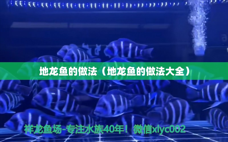 地龍魚的做法（地龍魚的做法大全） 祥龍水族醫(yī)院