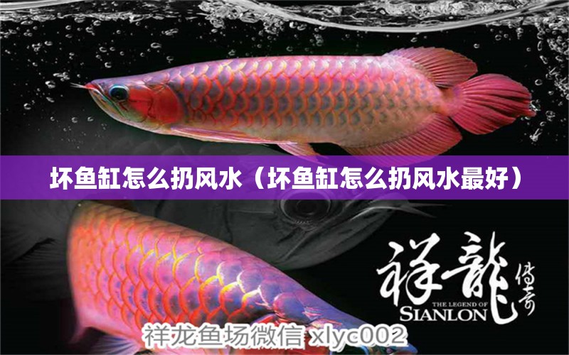 壞魚缸怎么扔風水（壞魚缸怎么扔風水最好） 魚缸風水