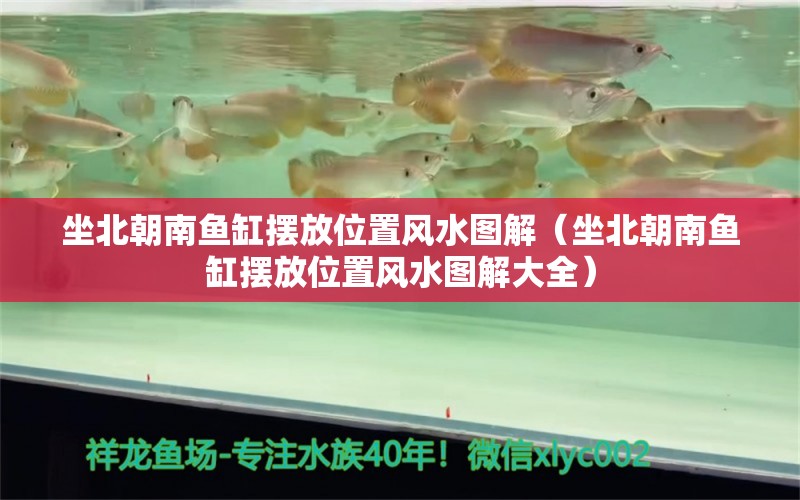 坐北朝南魚缸擺放位置風水圖解（坐北朝南魚缸擺放位置風水圖解大全）